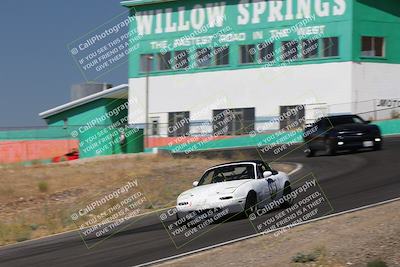 media/Jun-22-2024-Extreme Speed (Sat) [[ca2808de24]]/Grey Gold/Morning Session/